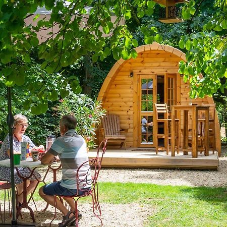 Cabane En Bois Avec Bain Nordique Asnieres-sur-Vegre Bagian luar foto